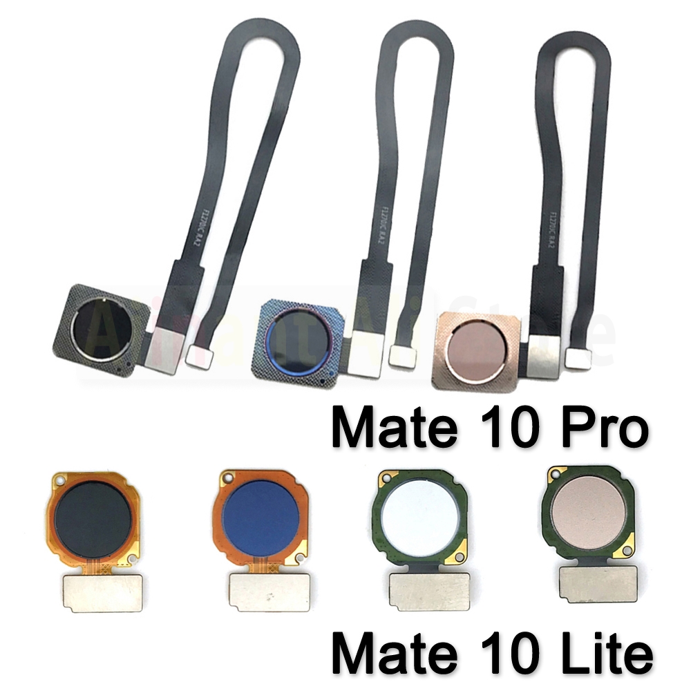 AiinAnt tombol Home konektor k - Fingerprint Cable Flex ulasan dan harga